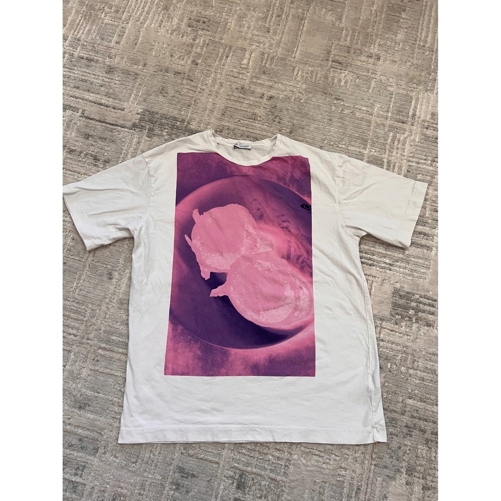 Zara Menswear Graphic Tee White Pink Purple Fashion Top T-Shirt‎ Medium